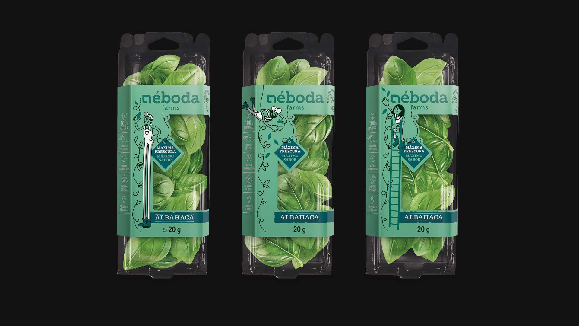 tres envases de albahaca fresca neboda farms en packaging verde
